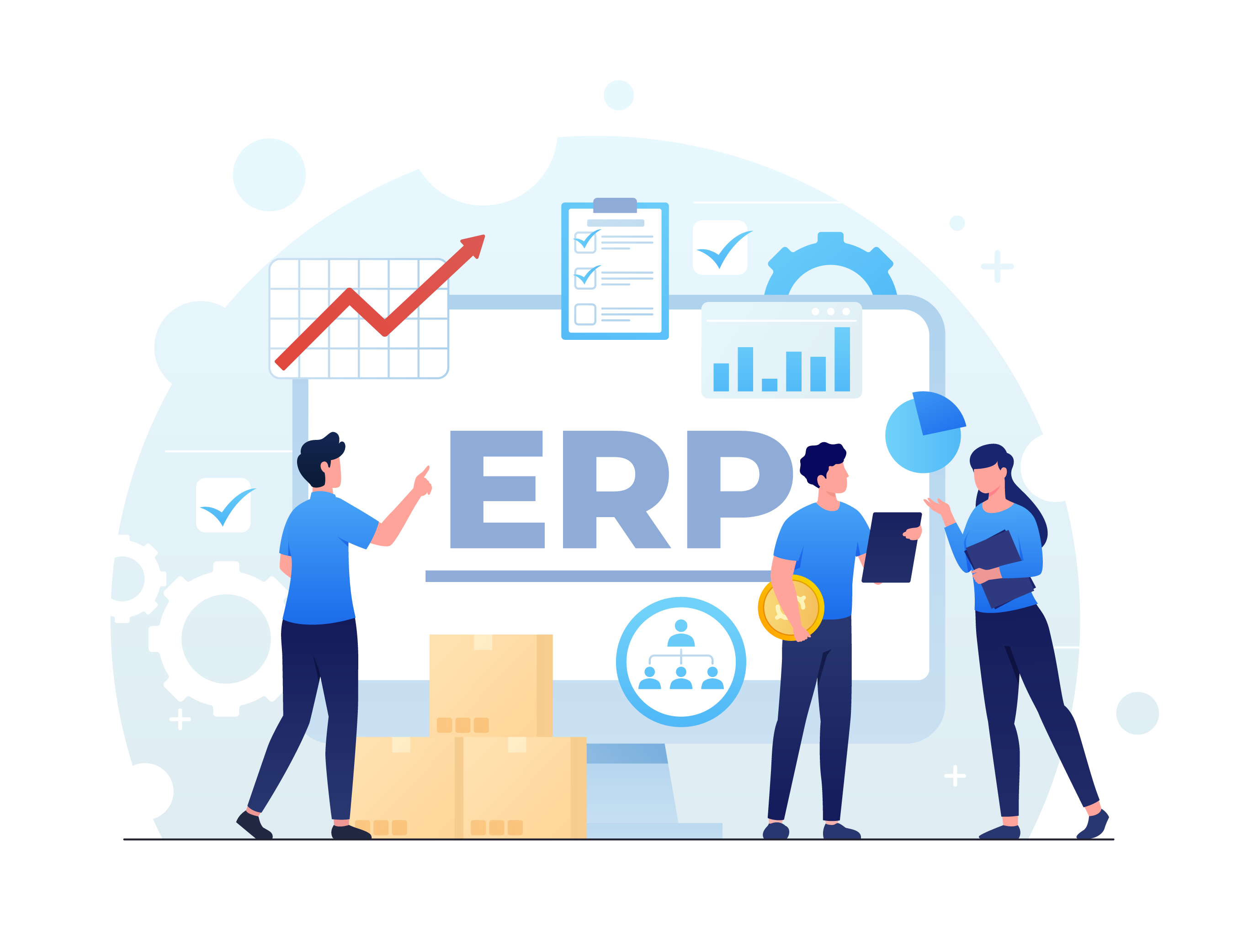 ERP Software